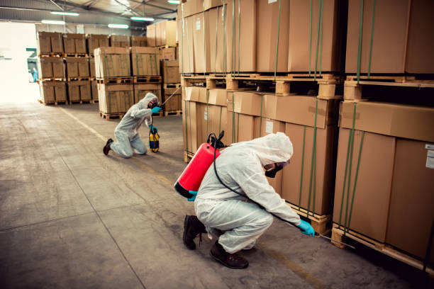 Best Affordable Pest Control Services  in Indialantic, FL
