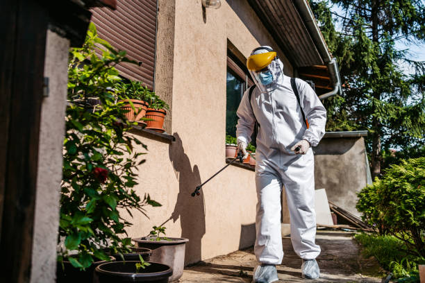 Best Wasp Removal Services  in Indialantic, FL