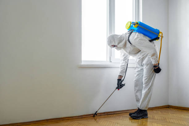 Best Affordable Pest Control Services  in Indialantic, FL