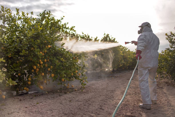Best Pest Prevention Services  in Indialantic, FL