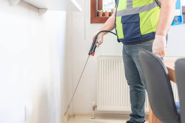 Best Flea Control Services  in Indialantic, FL