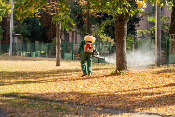 Best Residential Pest Control  in Indialantic, FL