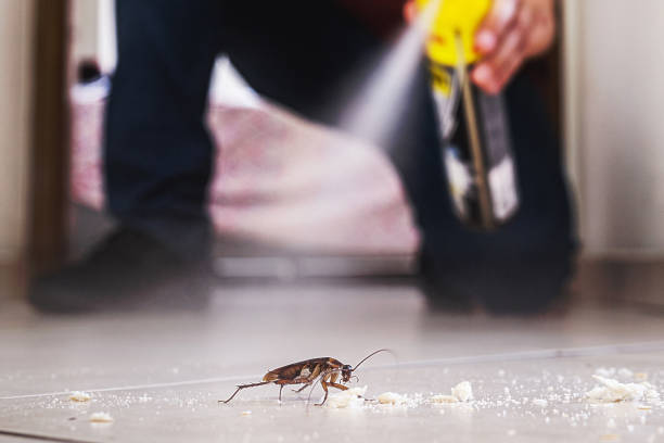 Professional Pest Control in Indialantic, FL